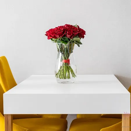 公寓 Your Holidays Bel Mare Ii D217 米兹多洛杰