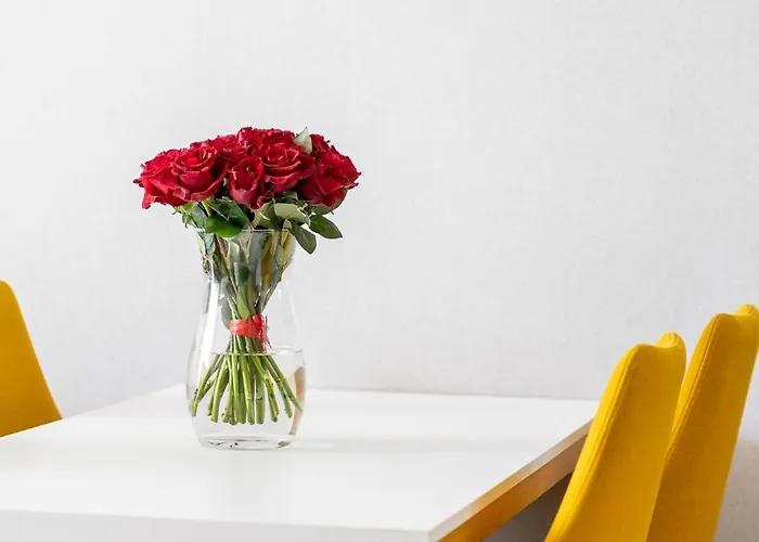 Your Holidays Bel Mare Ii D217 公寓 米兹多洛杰